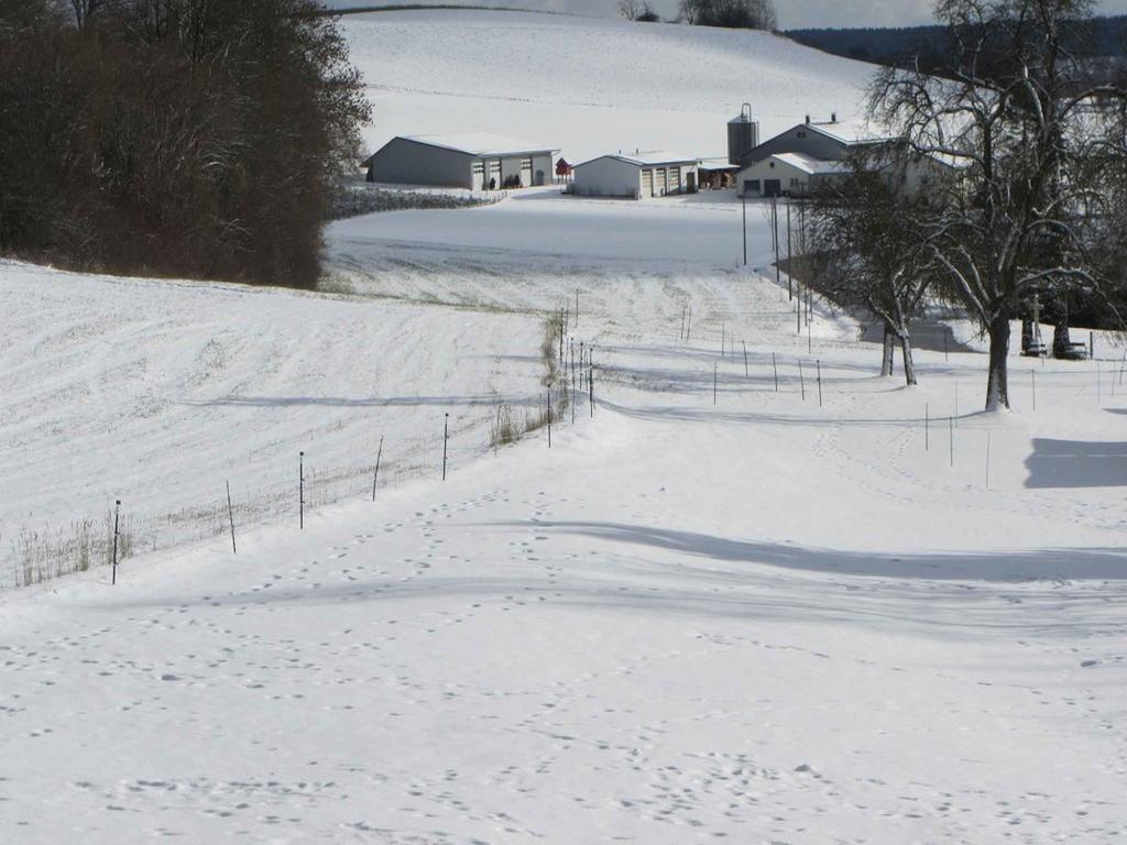 Ferienwohnung Am Weinberg Ostrach Exteriör bild